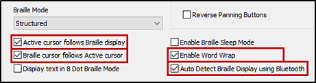 The Braille Mode section of the Translations settings window with the settings mentioned in the previous list checked.