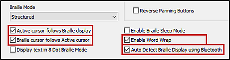 The Braille Mode section of the Translations settings window with the settings mentioned in the previous list checked.