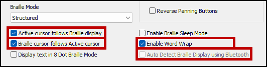 The Braille Mode section of the Translations settings window with the settings mentioned in the previous list checked.