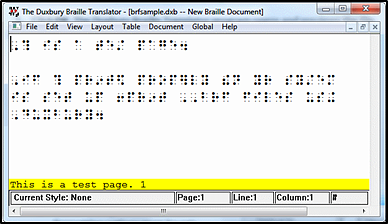 Duxbury Braille Translator window displaying a preview of the Braille content.