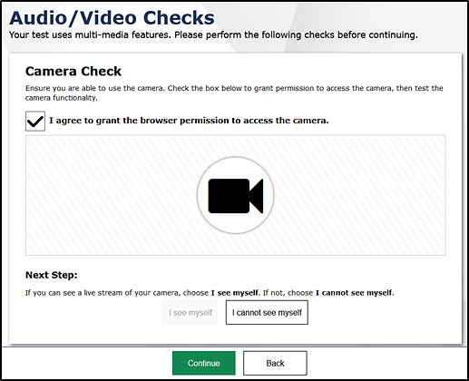 Audio/Video Check screen with checkbox for agreeing to give permission to access the camera.