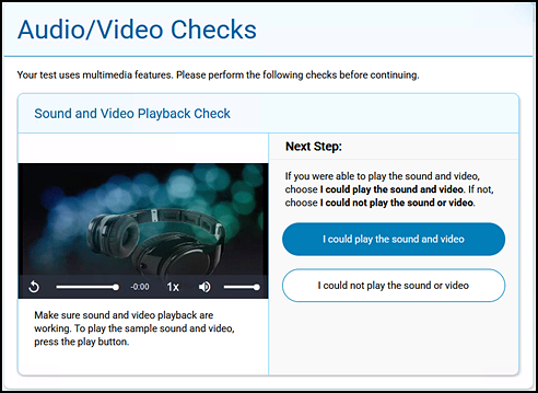 "Sound and Video Playback Check" section of the Audio/Video Checks screen.