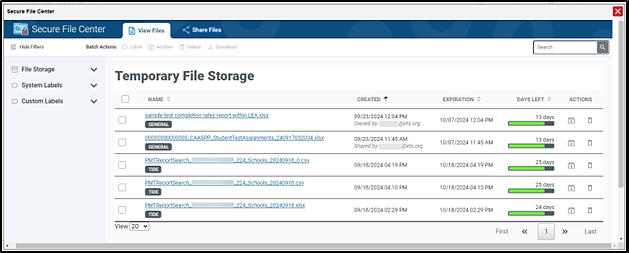 Temporary File Storage list in the Secure File Center.