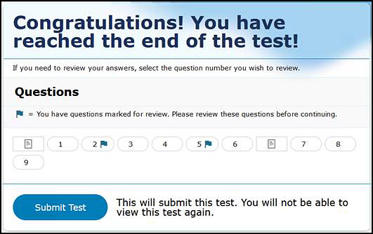 Test Review page with items 2 and 5 marked for review.