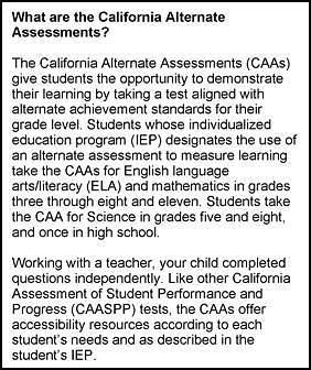 A description of the CAAs and the SSR's content-area assessments on the first page of an SSR.