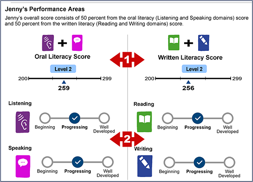 Performance Areas section of an SSR with callouts indicating composite scores and domain scores for a high school assessment.