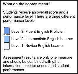 A description of the scores for overall performance levels on the first page of an SSR.