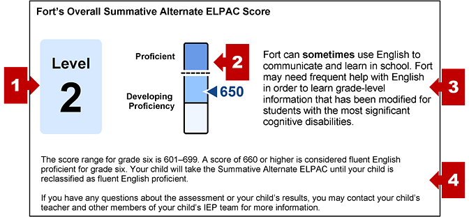 The section on an SSR with the student's overall score and callouts indicating the performance level, a measurement gauge, a performance summary, and statement of score ranges.