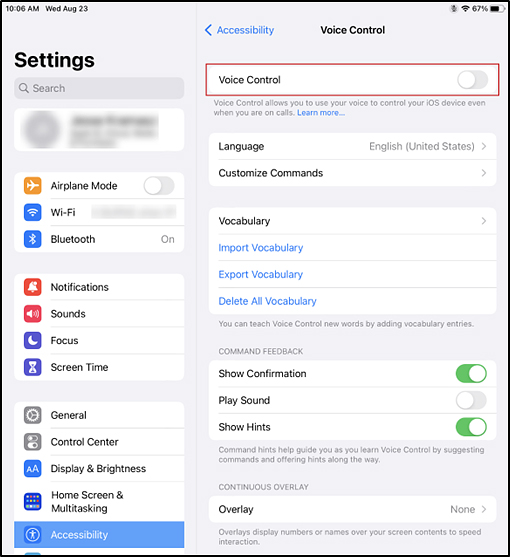 Voice Control panel in the iPadOS Settings interface with the Voice Control option toggled off.