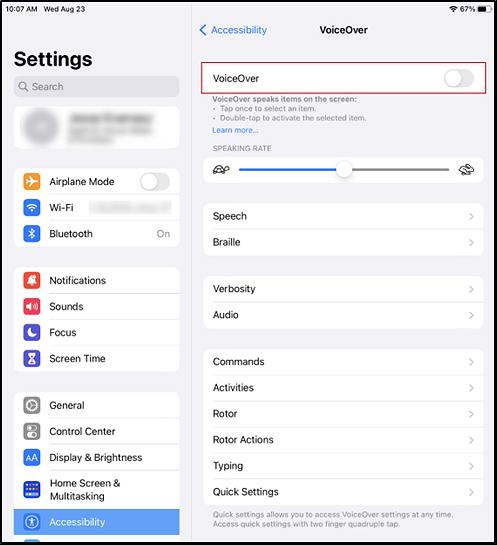 Voice Control panel in the iPadOS Settings interface with the VoiceOver option toggled off.