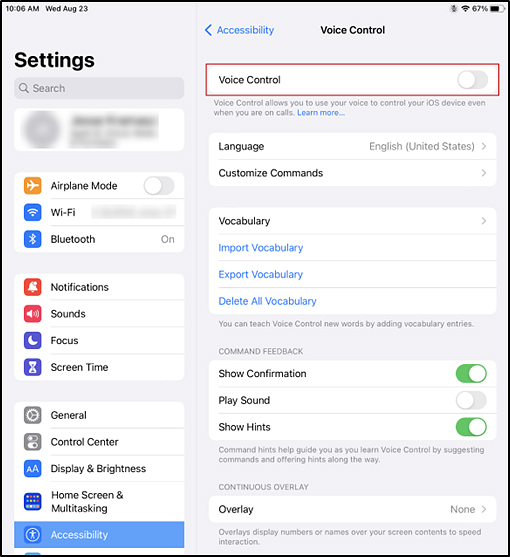 Voice Control panel in the iPadOS Settings interface with the Voice Control option toggled off.