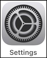 Settings icon, which is a drawing of a gear.