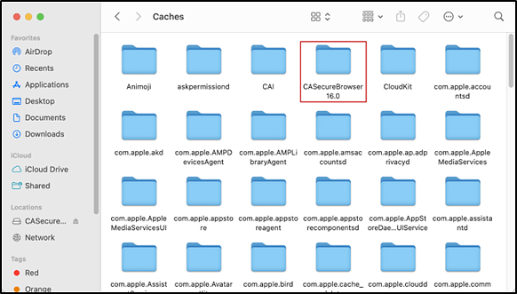 Caches interface with the CASecureBrowser 16.0 folder indicated.
