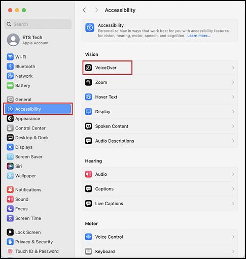 Accessibility section of System Settings interface with Accessibility option and VoiceOver indicated.